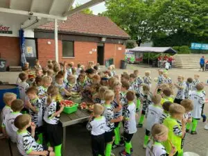Obst in Mengen